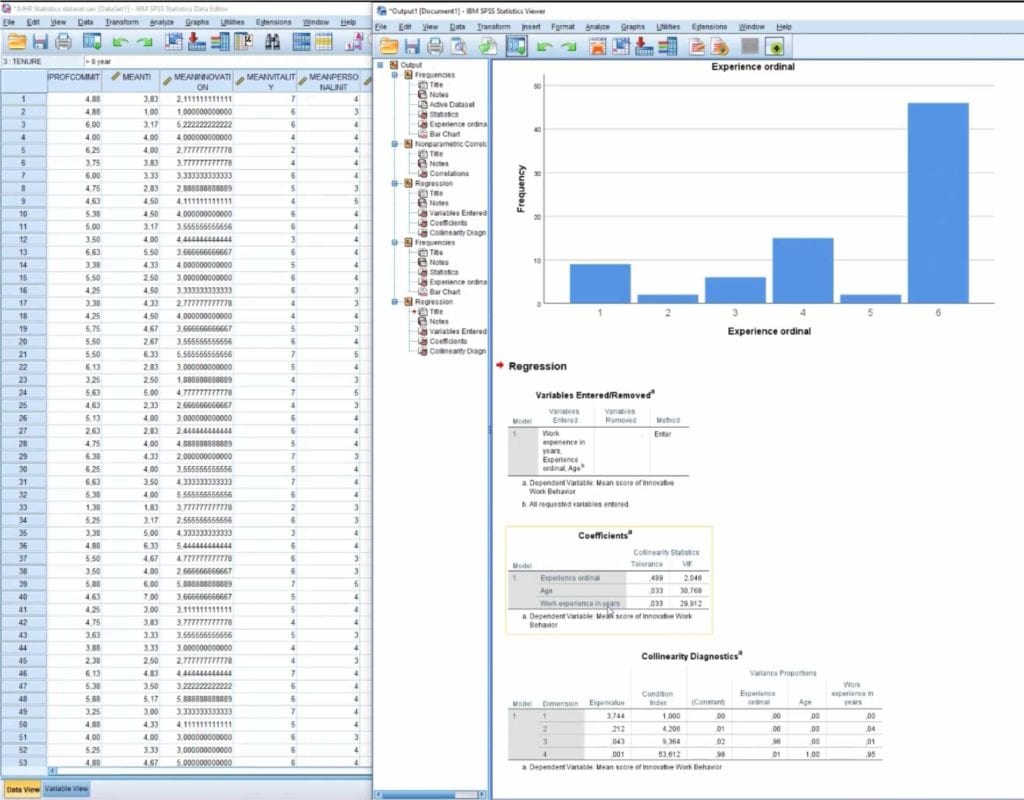 SPSS data set