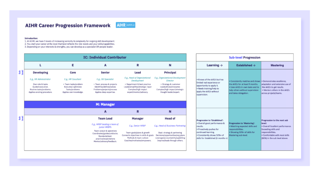 Preview of the career progression framework in an Excel file.