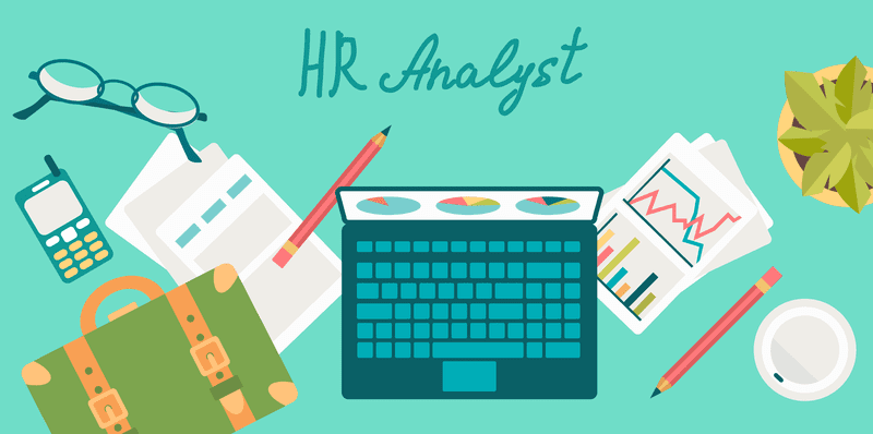 hr analyst role