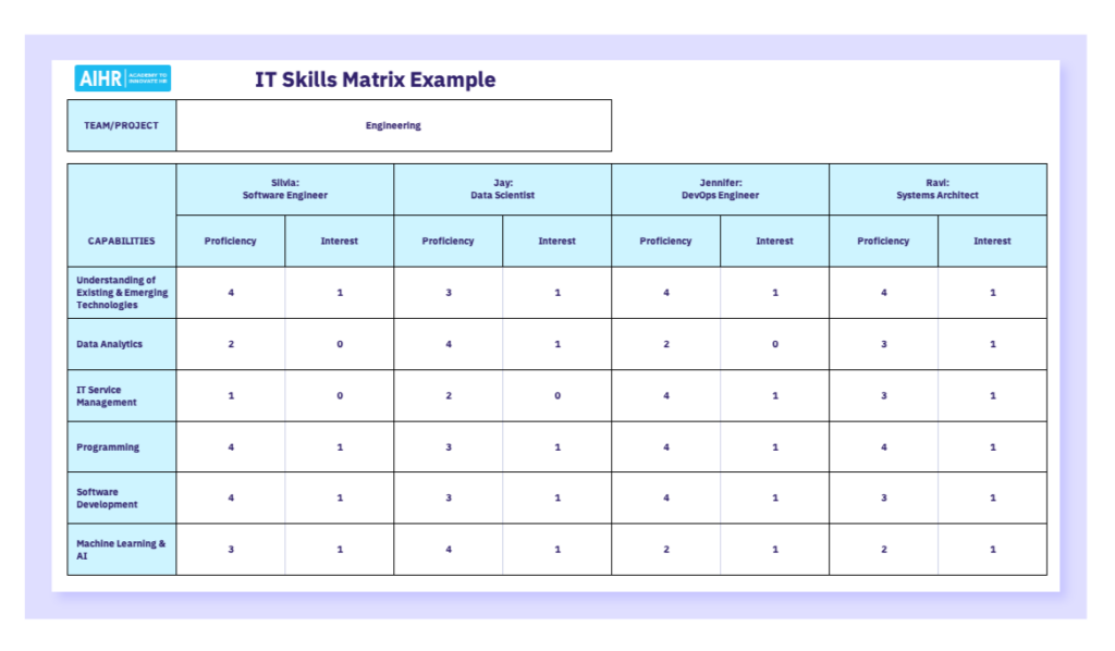 IT skills matrix example.