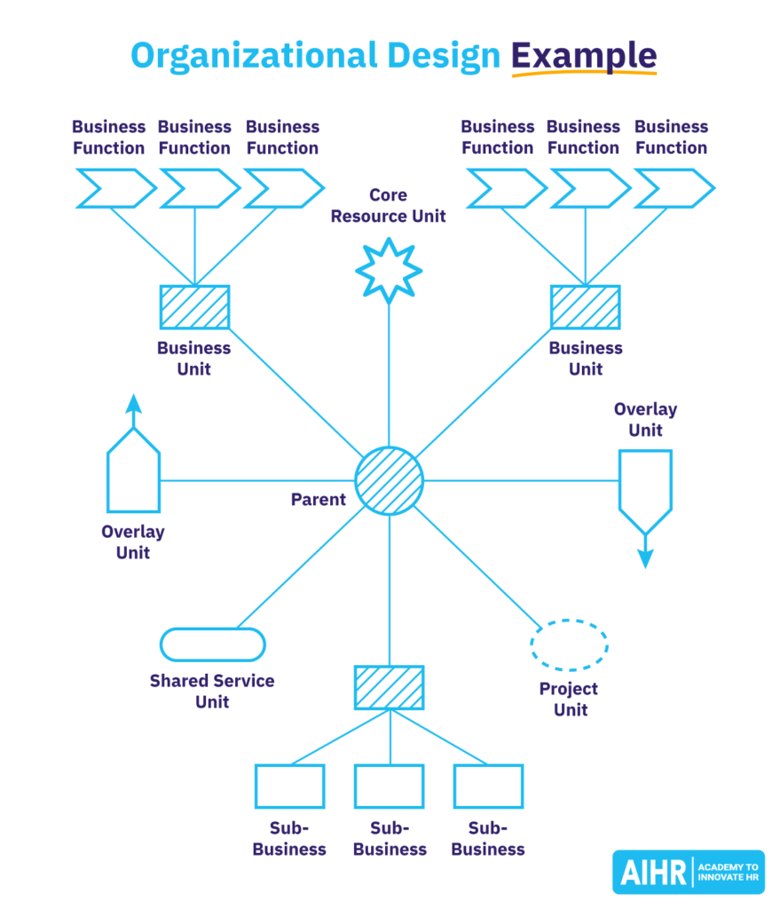 Organizational Design Example