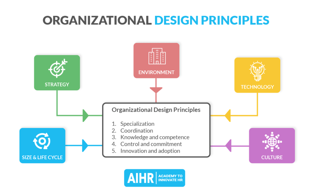 Organizational Design principles