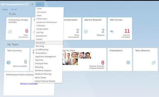 Succession planning tools - SAP